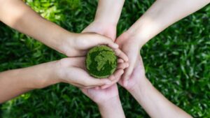 Read more about the article Which Action Influences the Abiotic Components of an Organism’s Environment?